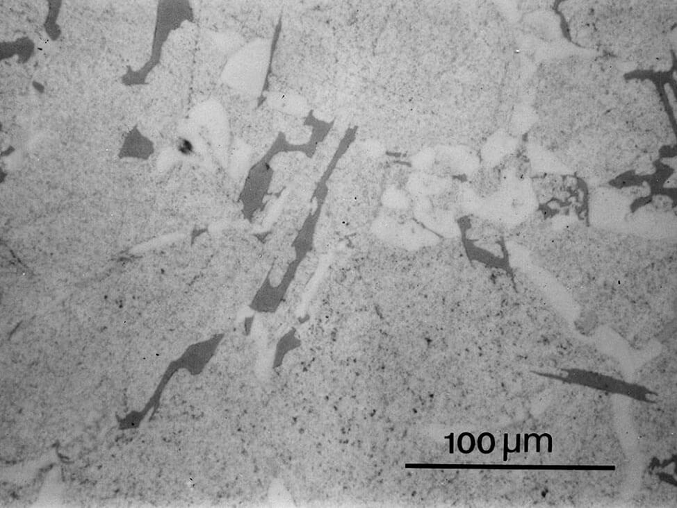 Metallography Of Aluminum Insight | Struers.com