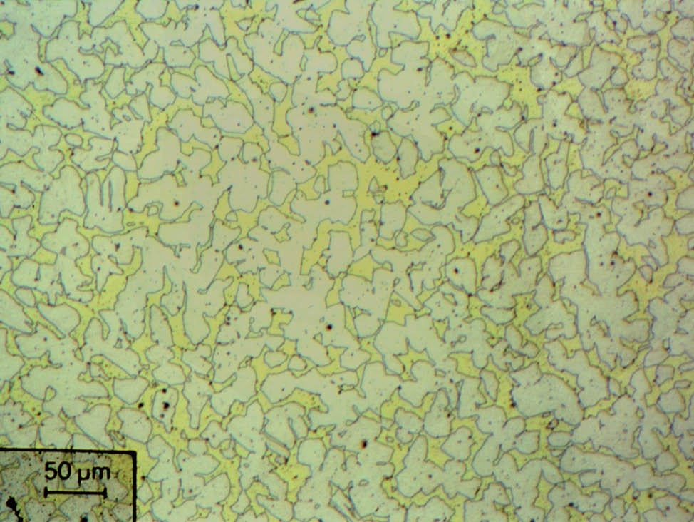 Fig. 11 Laiton fondu α-β, polissage mécanique