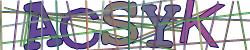 Retype the CAPTCHA code from the image